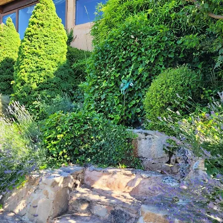 El Mirador Del Chispano Lejlighed